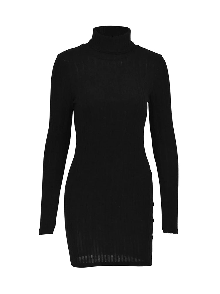 New Mini Dress For Women Autumn Black Solid Turtleneck Long Sleeves Sheath Dress