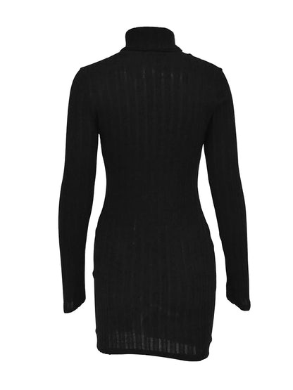 New Mini Dress For Women Autumn Black Solid Turtleneck Long Sleeves Sheath Dress