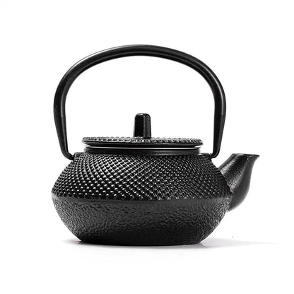 300ML  Tea Pot with Stainless Steel Infuser Cast Iron Teapot Tea Kettle for Boiling Water Oolong Tea