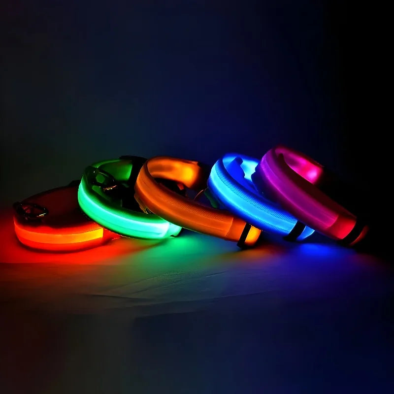 Dog Collar Nylon LED Night Safety Flashing Glow In The Dark Pet Dog Leash 2025