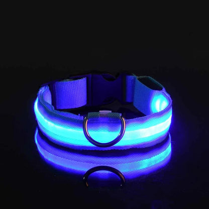 Dog Collar Nylon LED Night Safety Flashing Glow In The Dark Pet Dog Leash 2025
