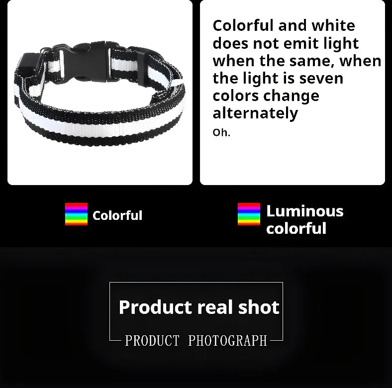 Dog Collar Nylon LED Night Safety Flashing Glow In The Dark Pet Dog Leash 2025