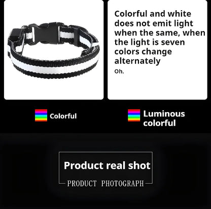Dog Collar Nylon LED Night Safety Flashing Glow In The Dark Pet Dog Leash 2025