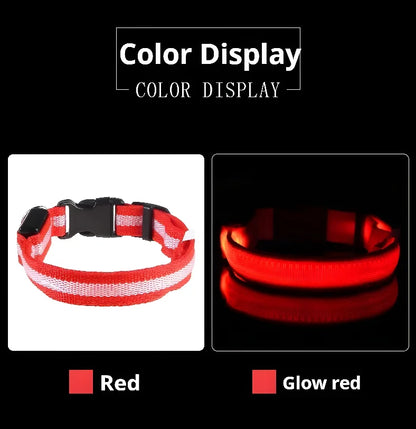 Dog Collar Nylon LED Night Safety Flashing Glow In The Dark Pet Dog Leash 2025