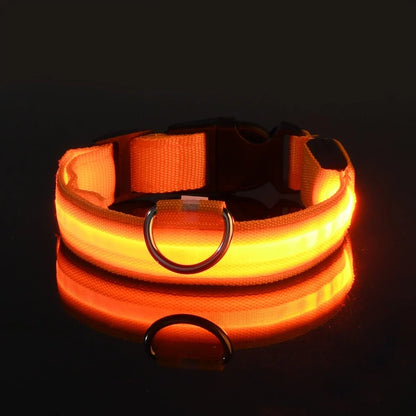 Dog Collar Nylon LED Night Safety Flashing Glow In The Dark Pet Dog Leash 2025