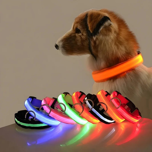 Dog Collar Nylon LED Night Safety Flashing Glow In The Dark Pet Dog Leash 2025