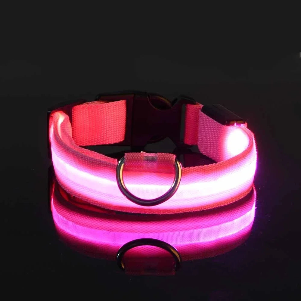 Dog Collar Nylon LED Night Safety Flashing Glow In The Dark Pet Dog Leash 2025