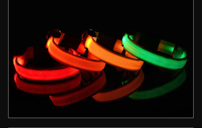 Dog Collar Nylon LED Night Safety Flashing Glow In The Dark Pet Dog Leash 2025